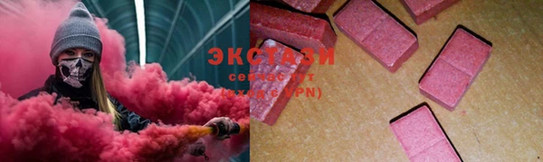 индика Алзамай
