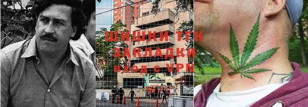 индика Алзамай