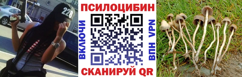 Псилоцибиновые грибы GOLDEN TEACHER  Ардон 